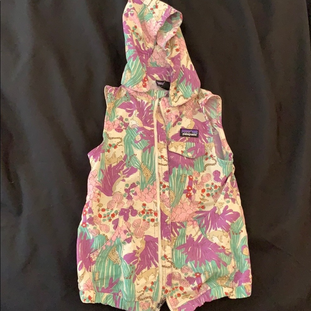 Patagonia vest